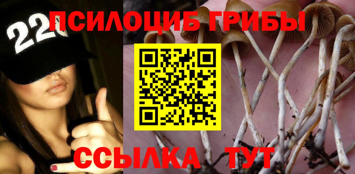 Галлюциногенные грибы MAGIC MUSHROOMS  Галлюциногенные грибы прущие грибы  Кудымкар  Вход с VPN 