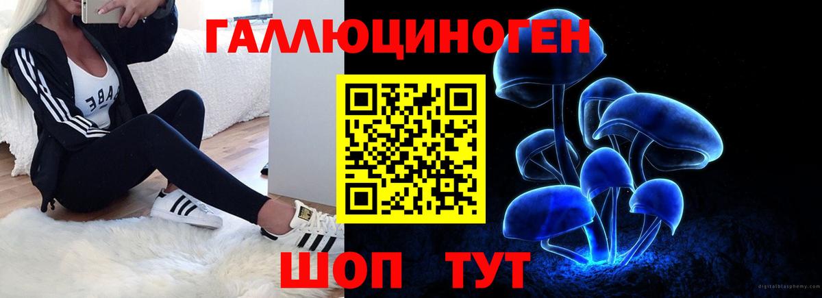 Псилоцибиновые грибы Magic Shrooms Кудымкар